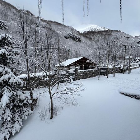 Biocinovici Vikendica Βίλα Kolašin Εξωτερικό φωτογραφία